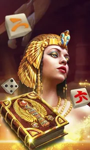 Book of Rebirth Dice